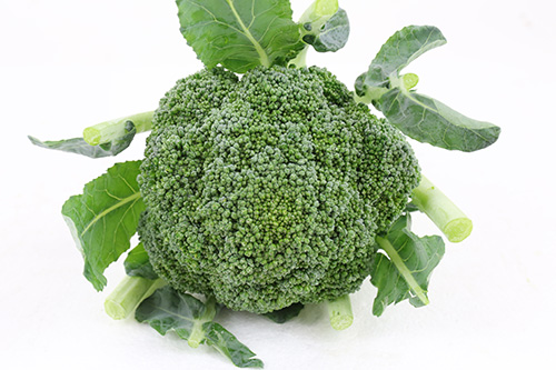 ブロッコリー