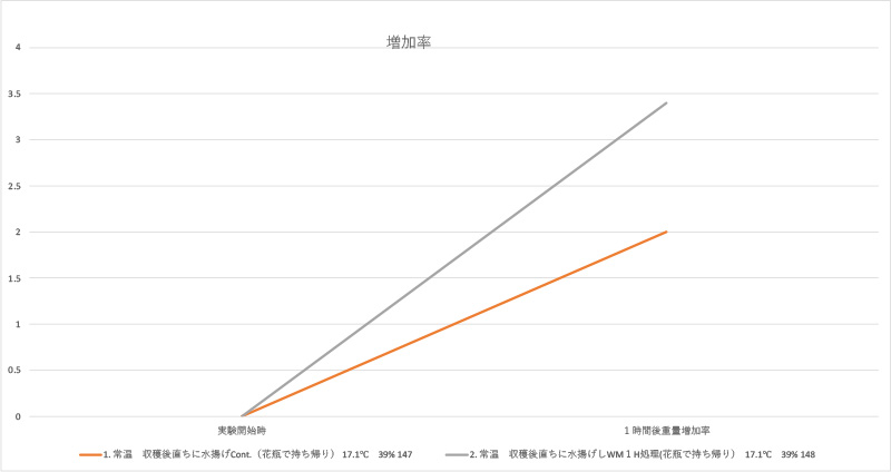 ラナンキュラス