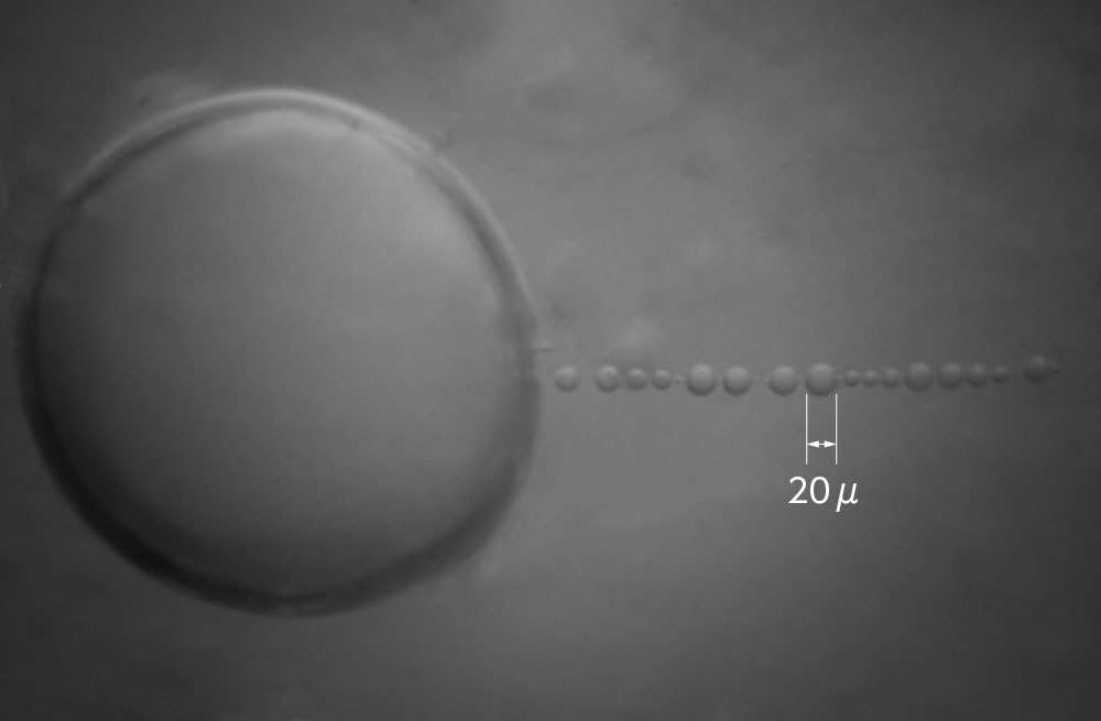 WAVEMAGICによる連珠構造形成の証明